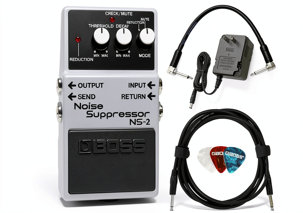 BOSS NS2 Compact Noise Suppression Pedal Bundle